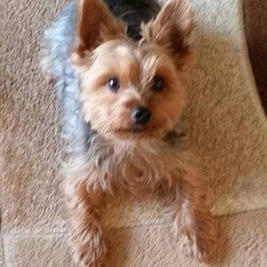 Meet your Posher, Carolyn